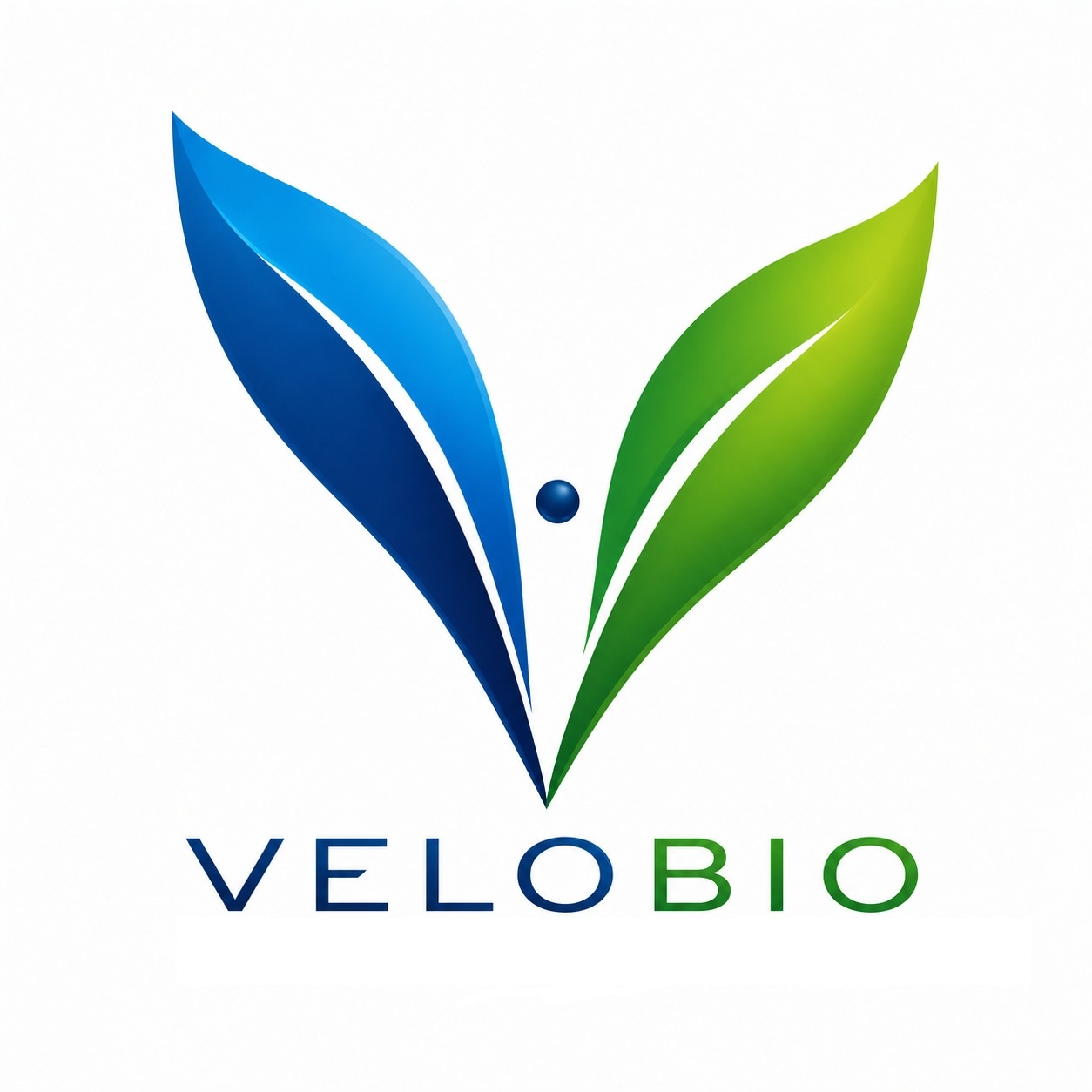 Velobio DiagnoBox logo